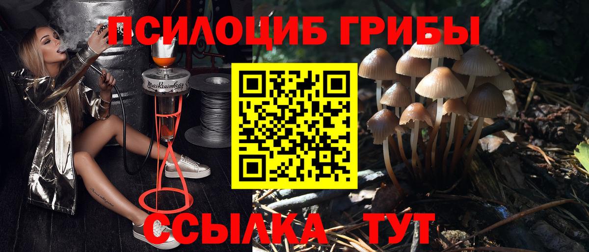 Псилоцибиновые грибы Cubensis Североморск